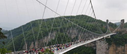 张家界网红吃瓜事件真相,揭秘背后的真相与争议