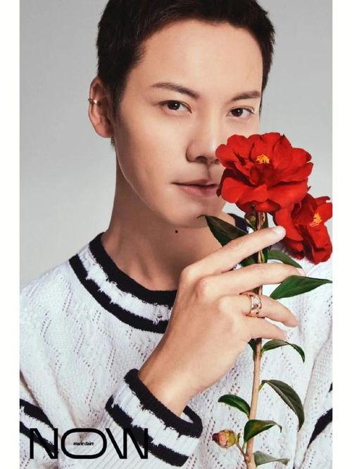 娱乐吃瓜君景甜,娱乐圈的甜蜜瓜果，甜蜜背后的故事