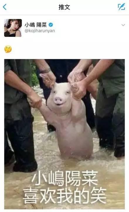 网红猪吃瓜,揭秘网络红人的幕后生活